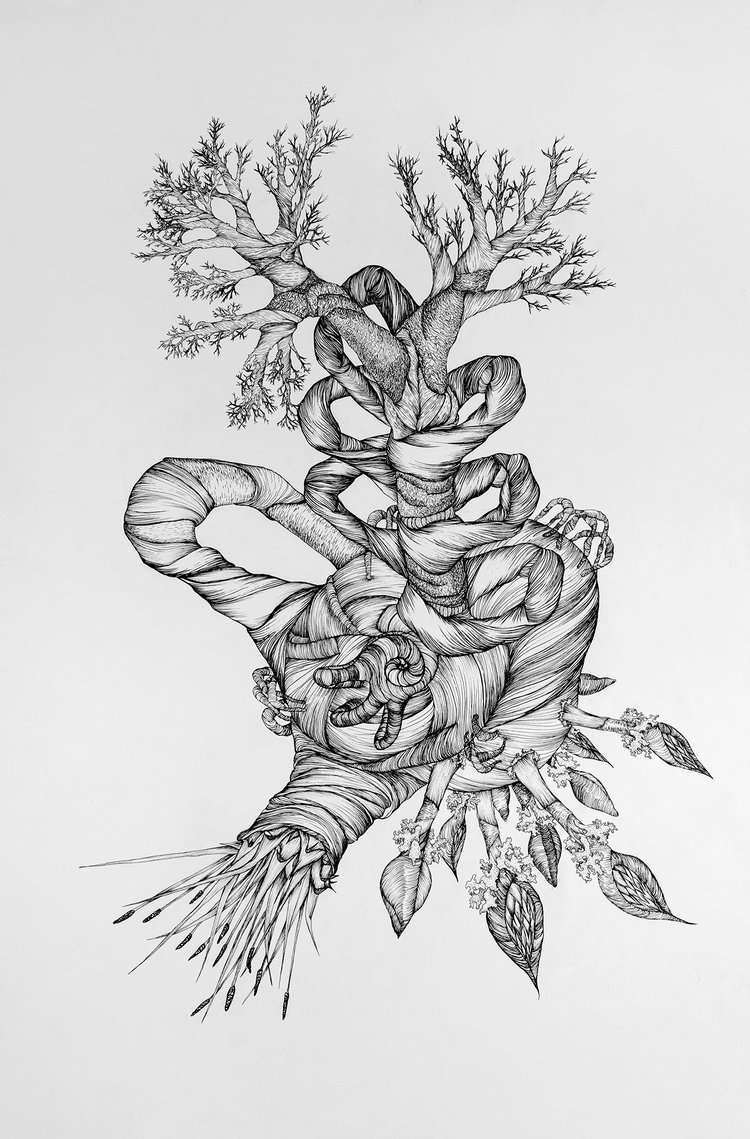 Maggie Nowinski, Untitled Specimen , 2017. Ink on paper.