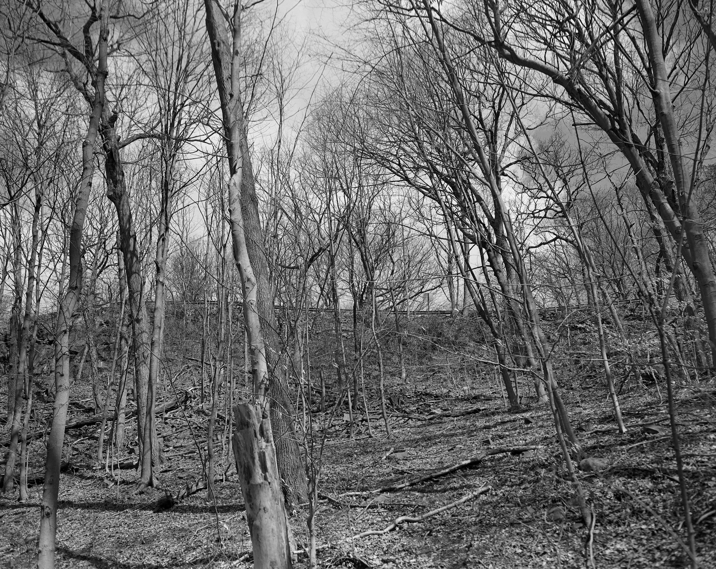 Nate Lerner, East Rock Park, Hamden (2019)