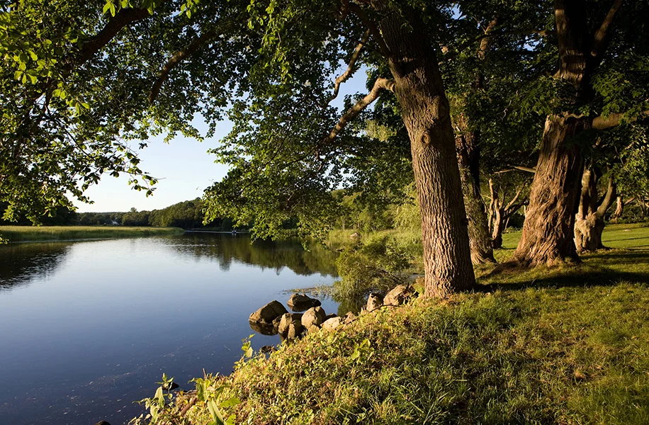 Riverbank garden of the Florence Griswold Museum, photo by Sean Flynn.