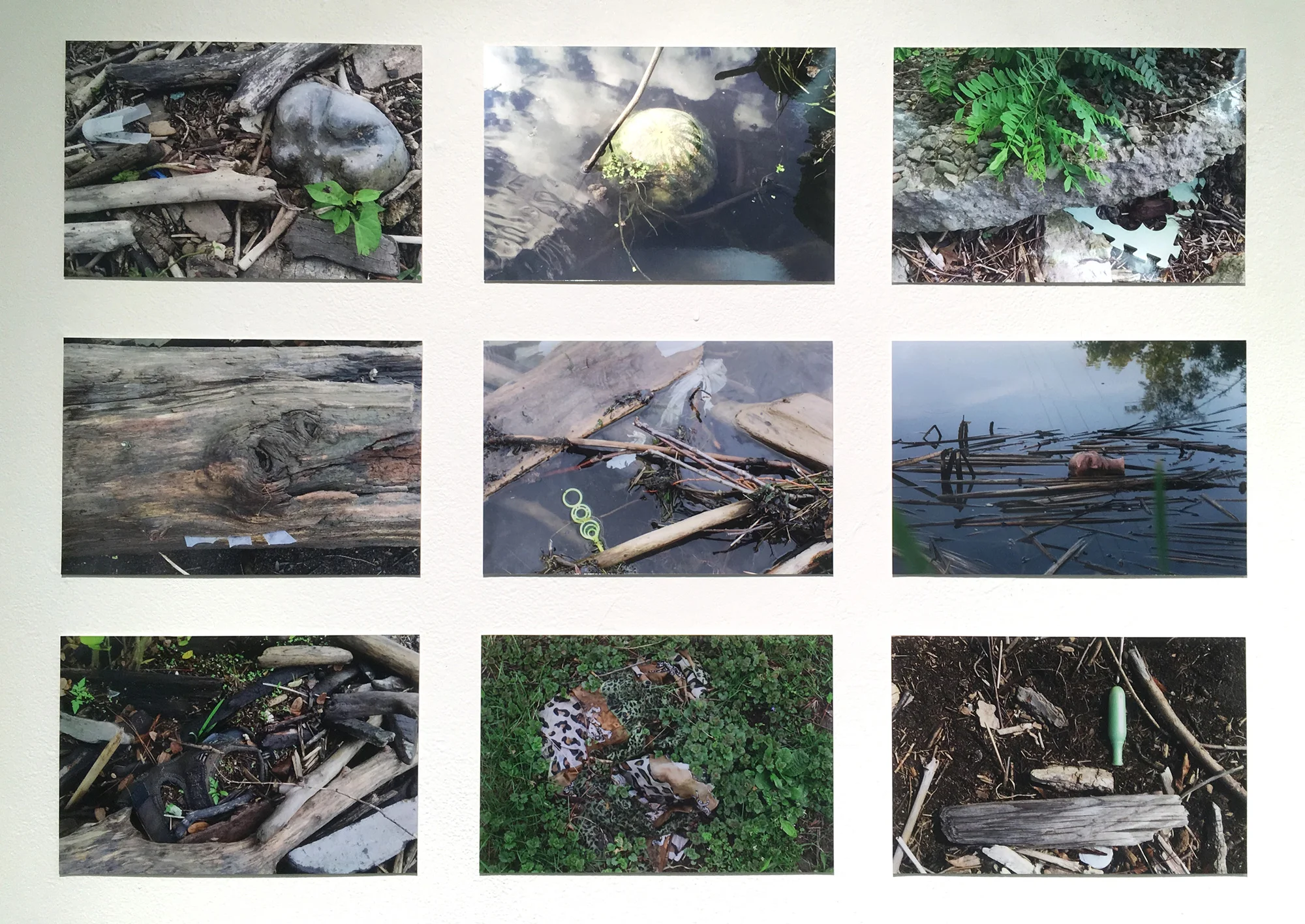 Caroline Byrne, Behind TOPS Grocery and At Stewart Park (2019). Images 2016-2019, Ithaca, NY.