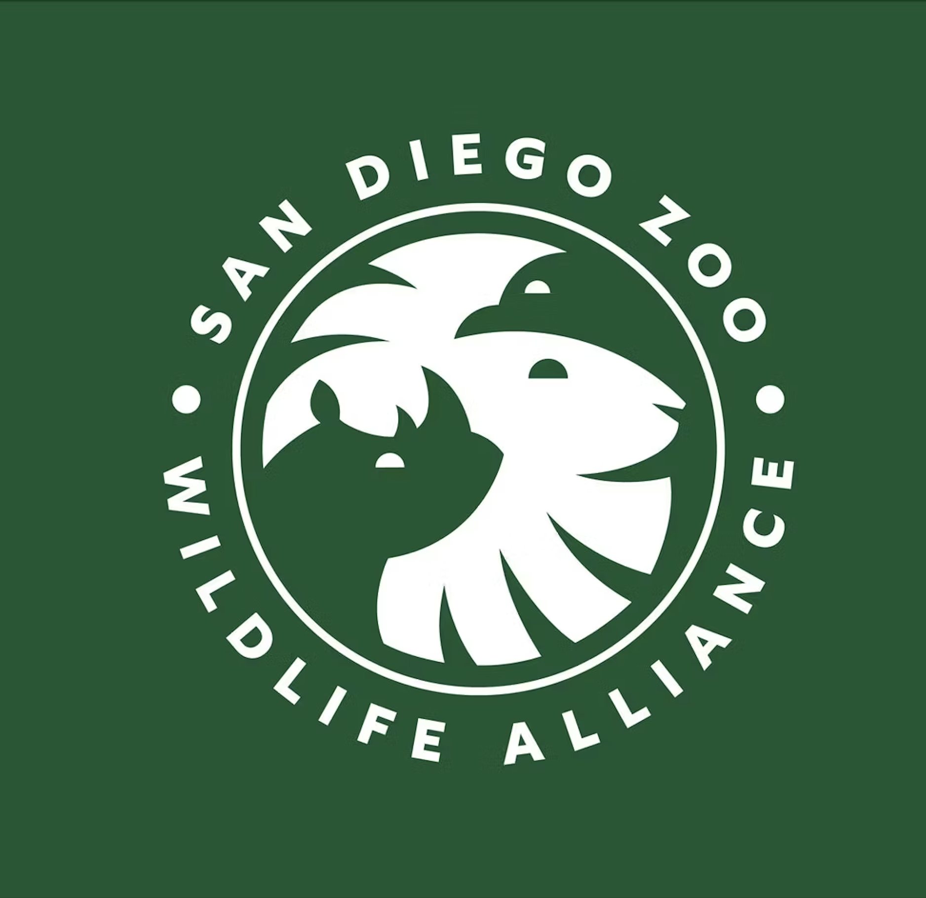 San Diego Zoo / Client Work