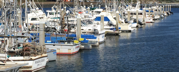 FishingBoats.png