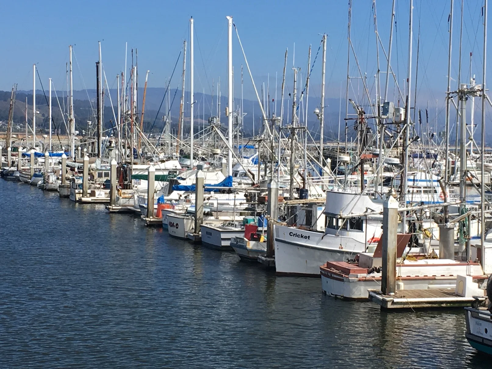 Fishing boats.jpg