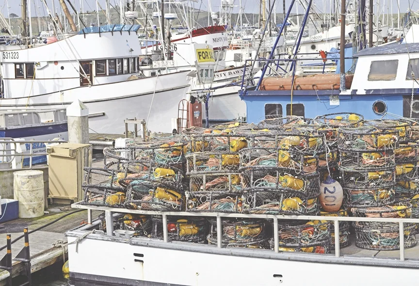 CrabPotsPillarPoint2.jpg