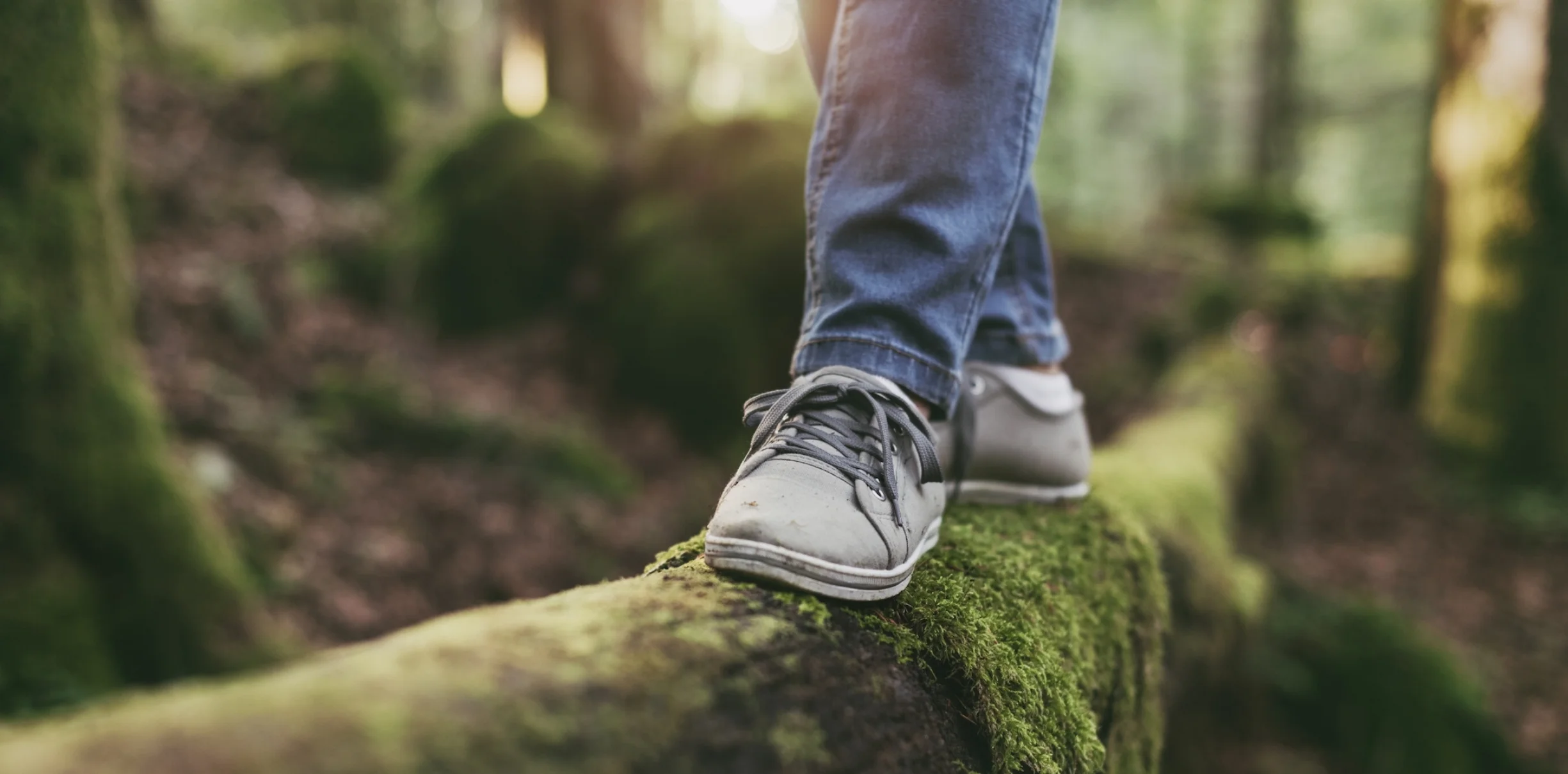 FeetOnGreenLog.jpg
