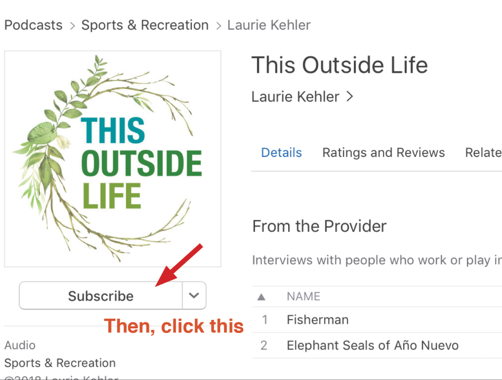 iTunesSubscribeHowto2.png