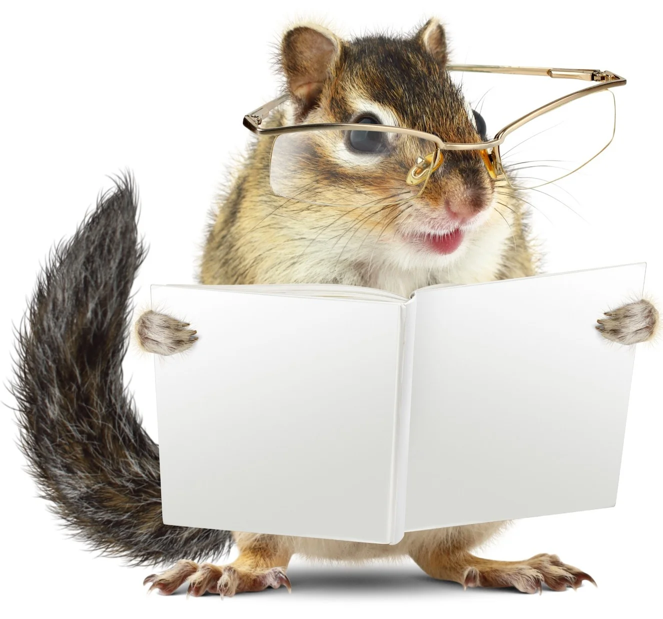 AnimalBooklist-ThisOutsideLife.com%252Frescue.jpg