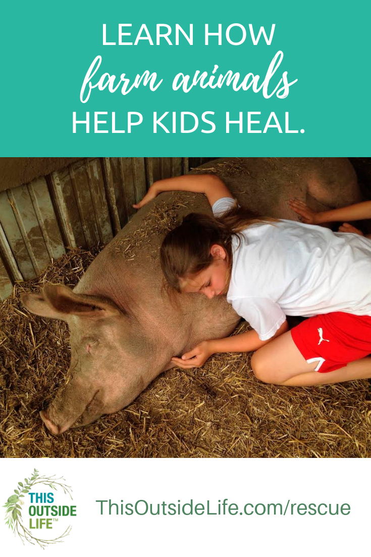 Pin me and help others!