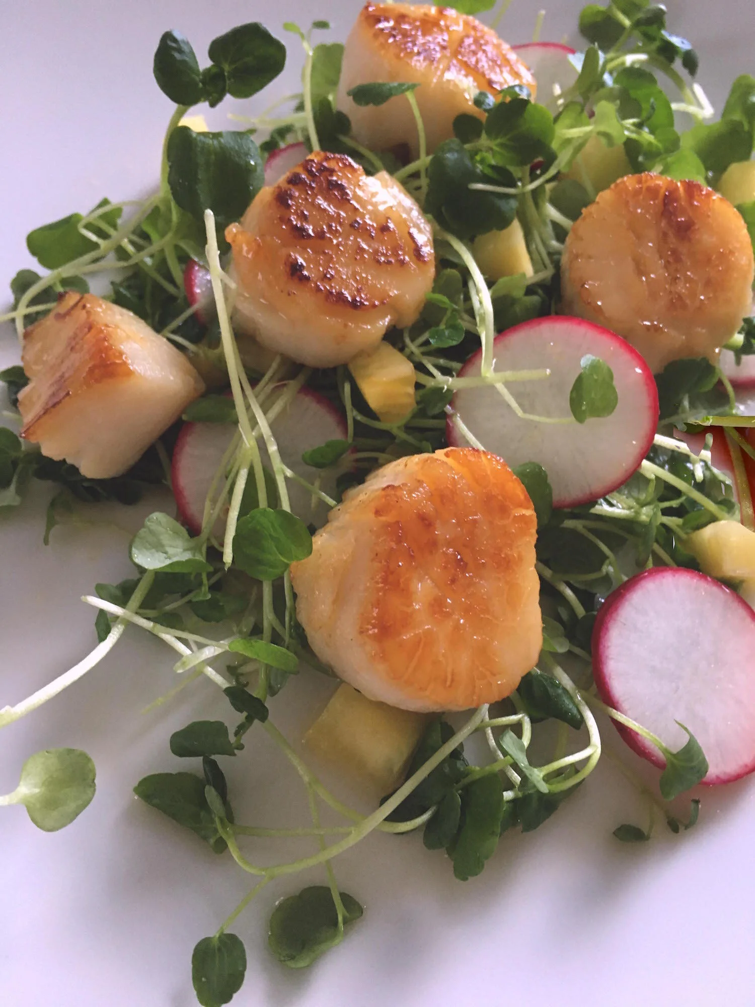  Seared Scallops With Watercress and Warm Orange Dressing 