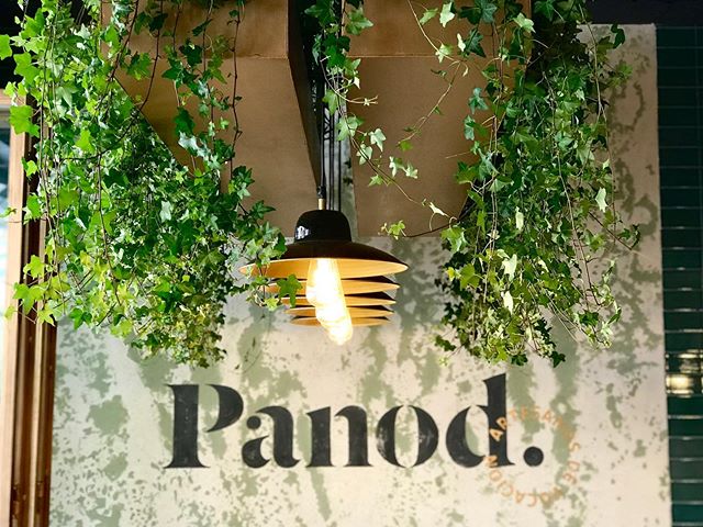 Esta semana hemos decorado la nueva panader&iacute;a @panod_madrid en Pozuelo de Alarc&oacute;n con unas plantas para las preciosas jardineras que decoran su interior!🍃
⠀⠀⠀⠀⠀⠀⠀⠀⠀
↳ &iquest;Qu&eacute; os parece el resultado?
⠀⠀⠀⠀⠀⠀⠀⠀⠀
&mdash;
#panod 