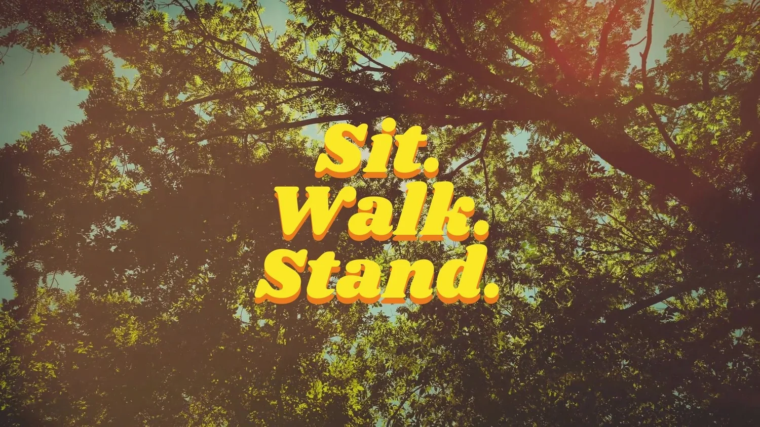 Ephesians - Sit episode artwork