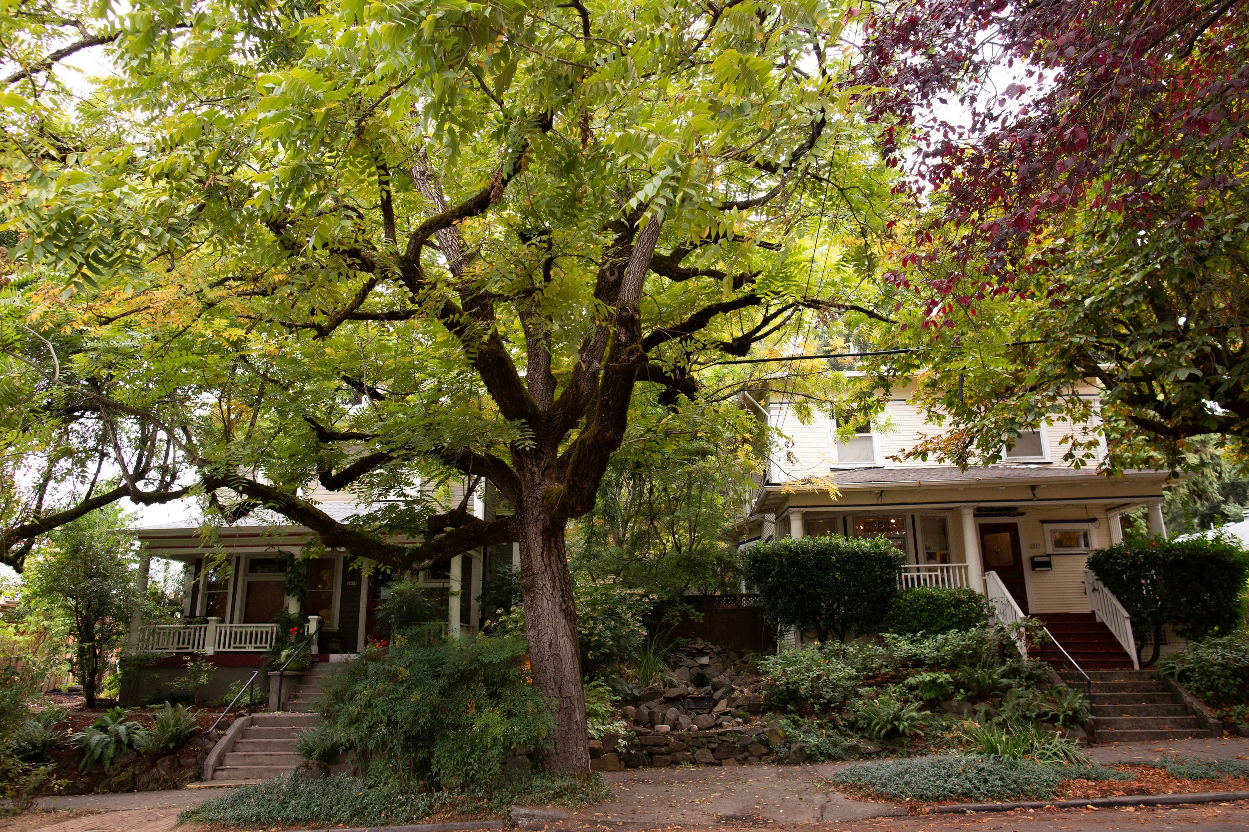 TheEverettHouse-12.jpg