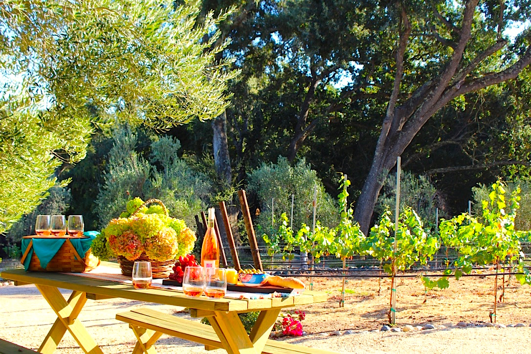 Picnic Mouvedre.jpg