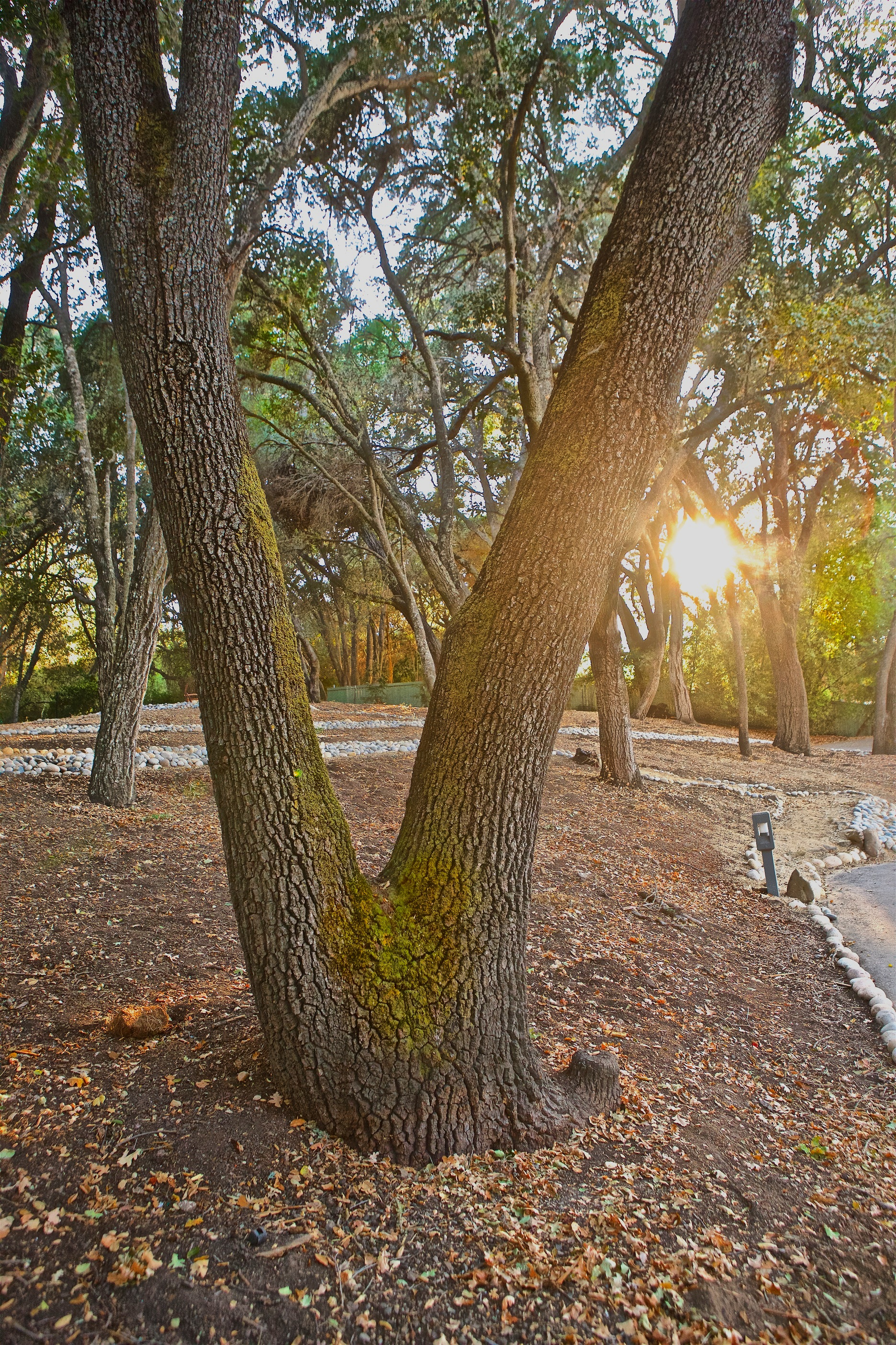 542P8279.jpg