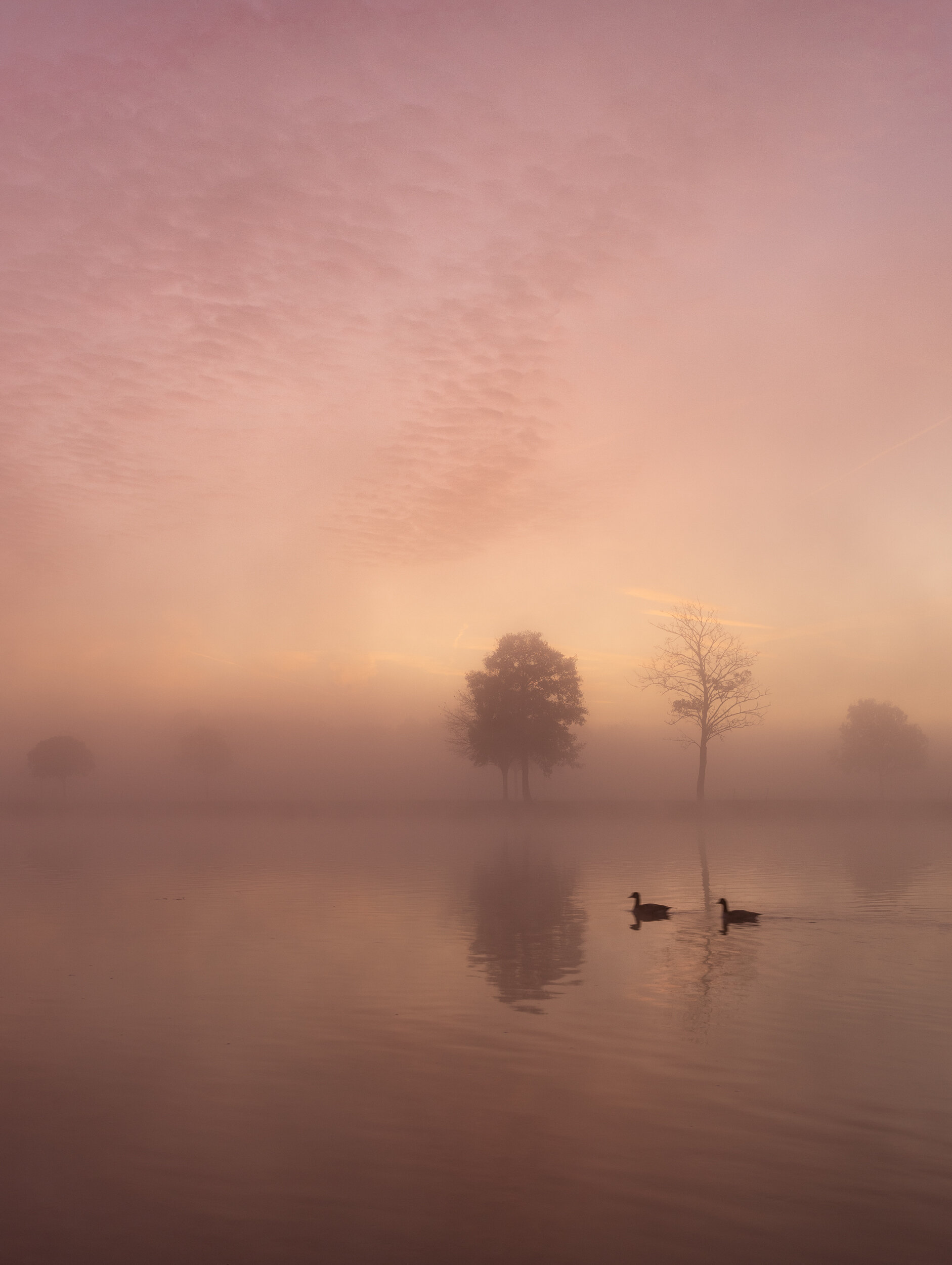 Early Dawn ~ Henley