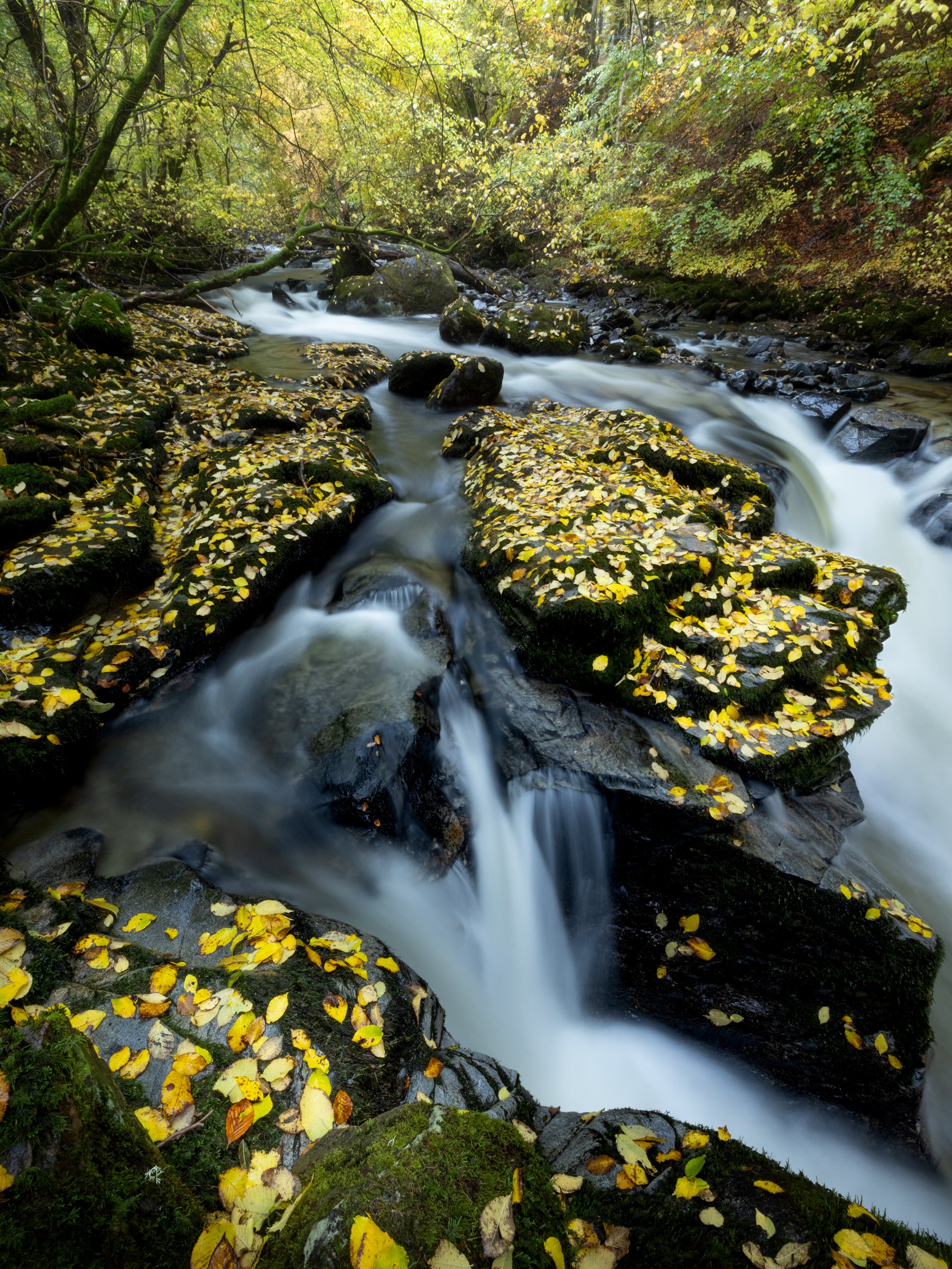 Cairngorm Waterfall