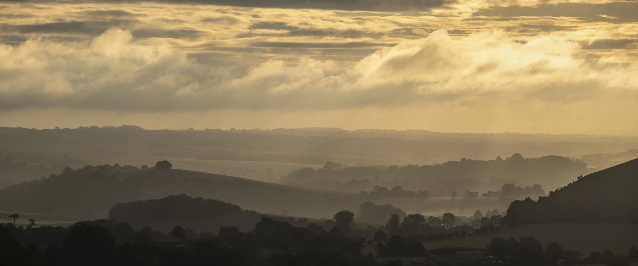 Summer Landscape Photography in the UK: Woodland, Infrared & Film Adventures