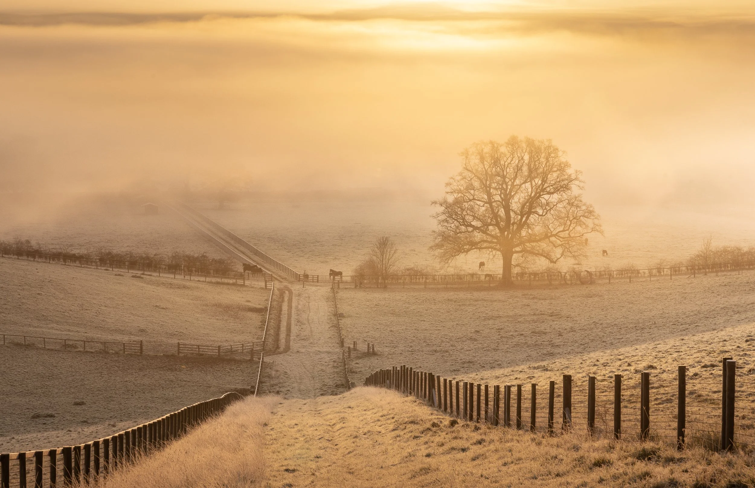 A Photographer’s Look Back at 2025