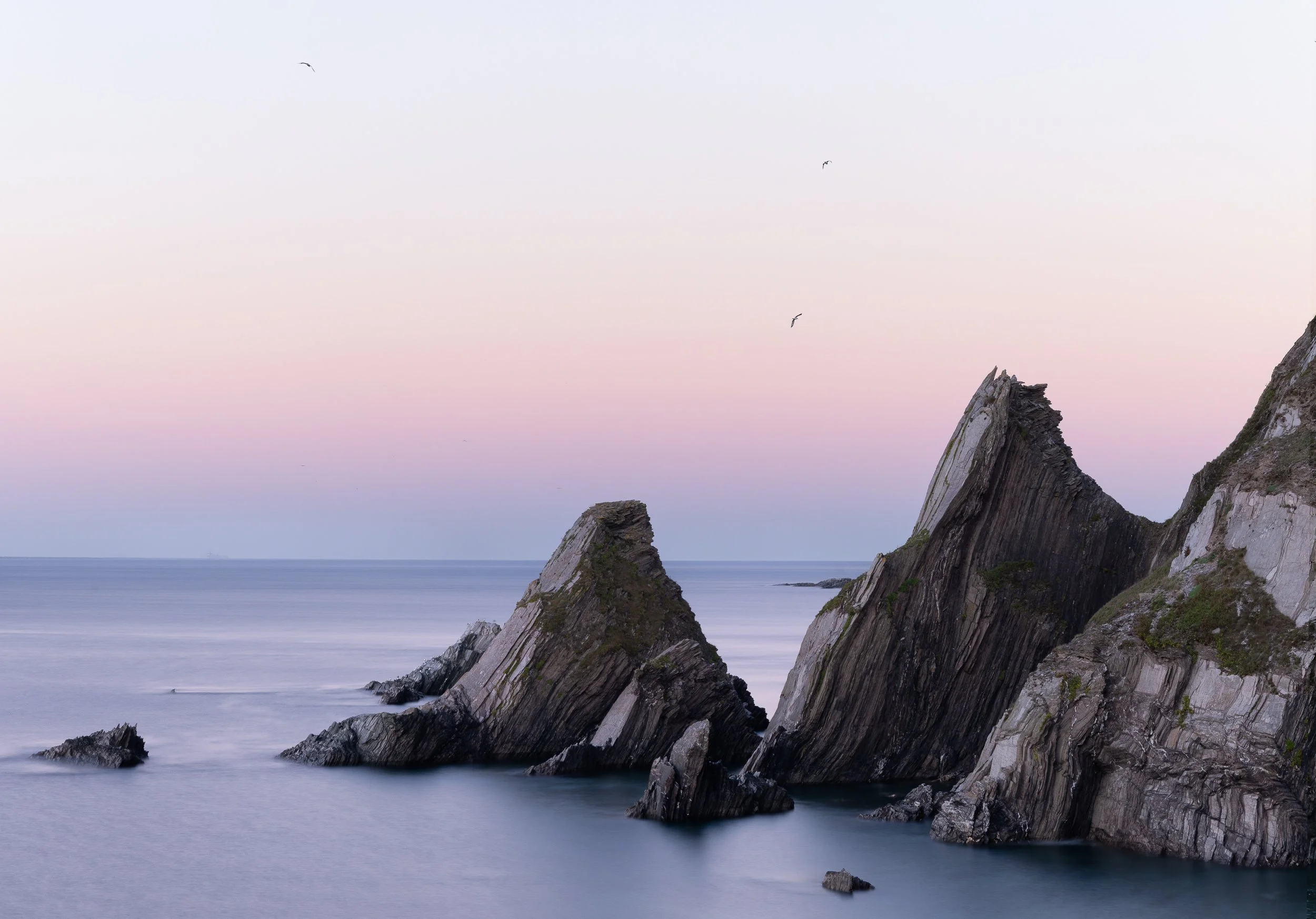 South Devon Dawn
