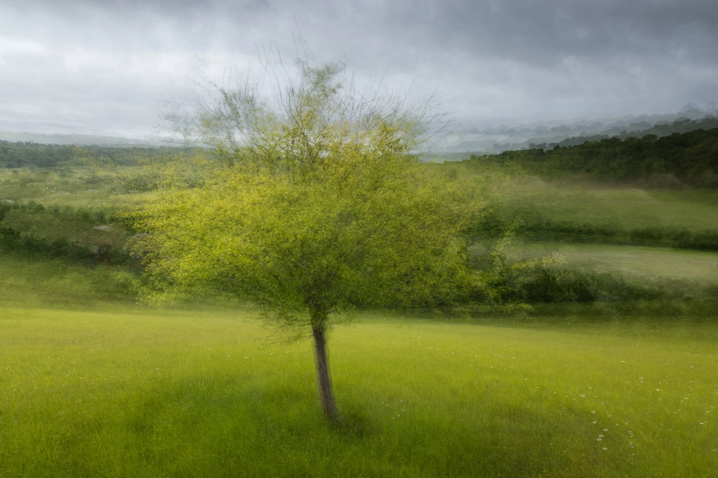 A Pep Ventosa style image of a tree in the hills of South England