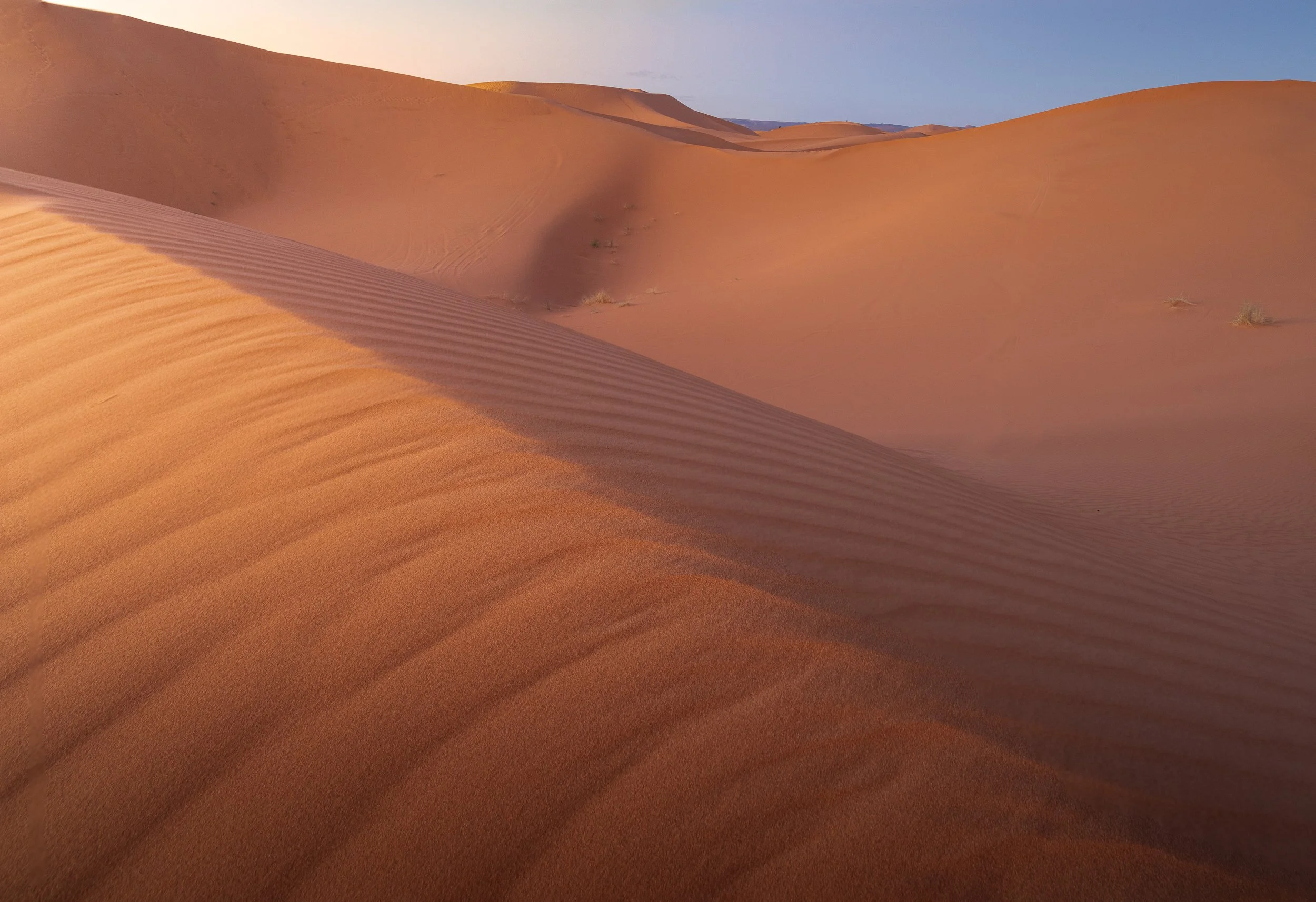Sand dunes in the Sahara desert