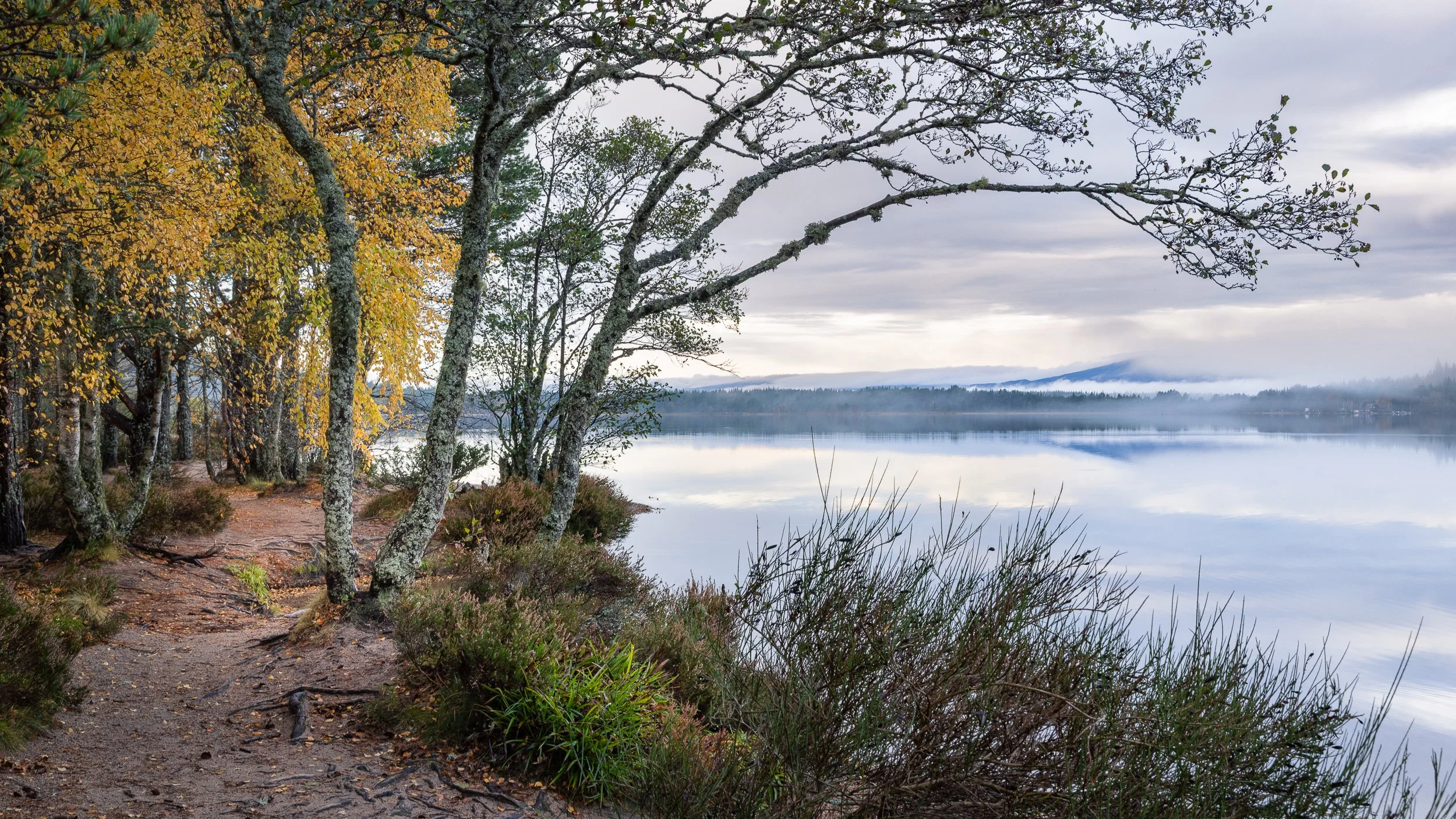 Cairngorm in Autumn