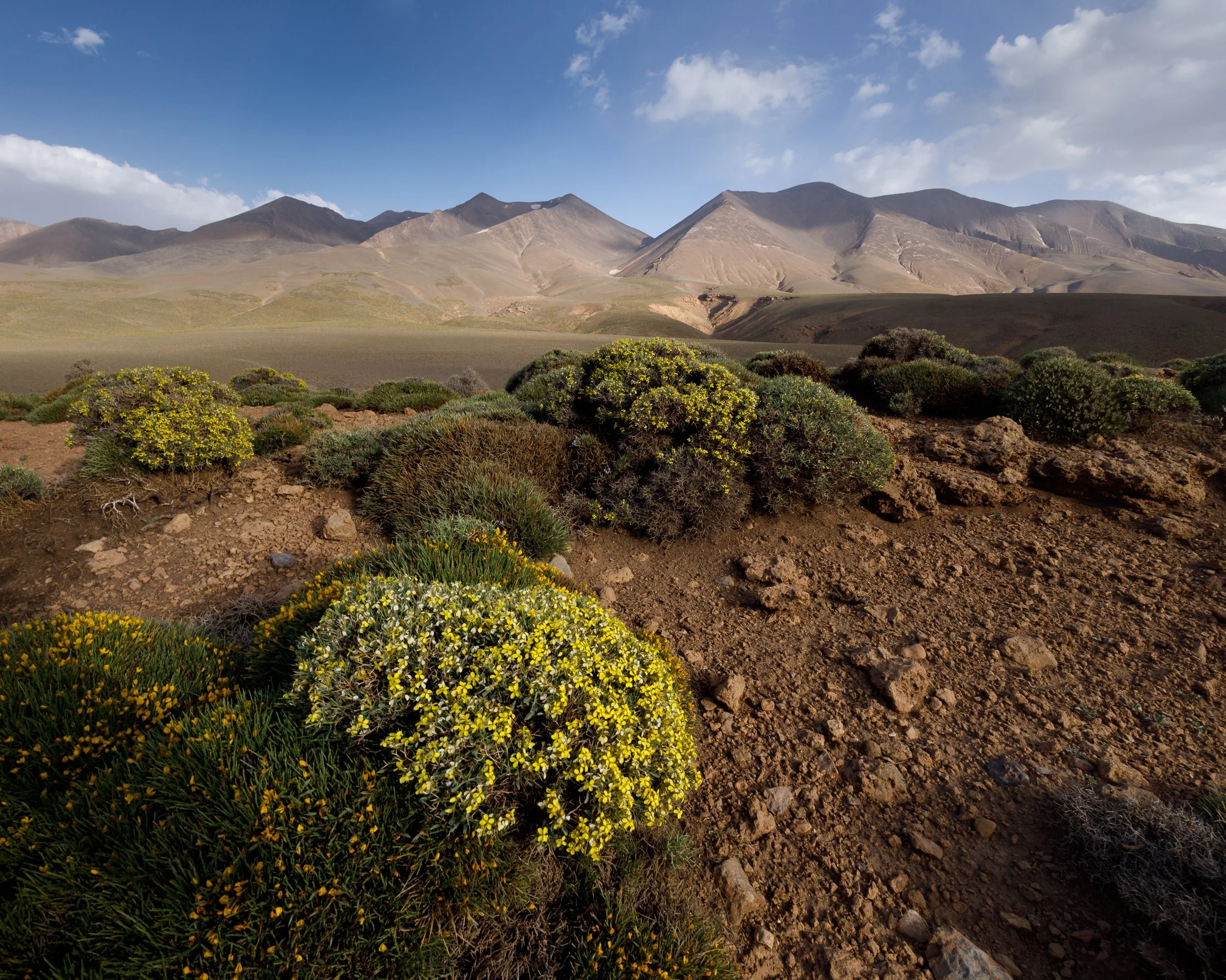 View in High Atlas of Mount M'Goun in colour
