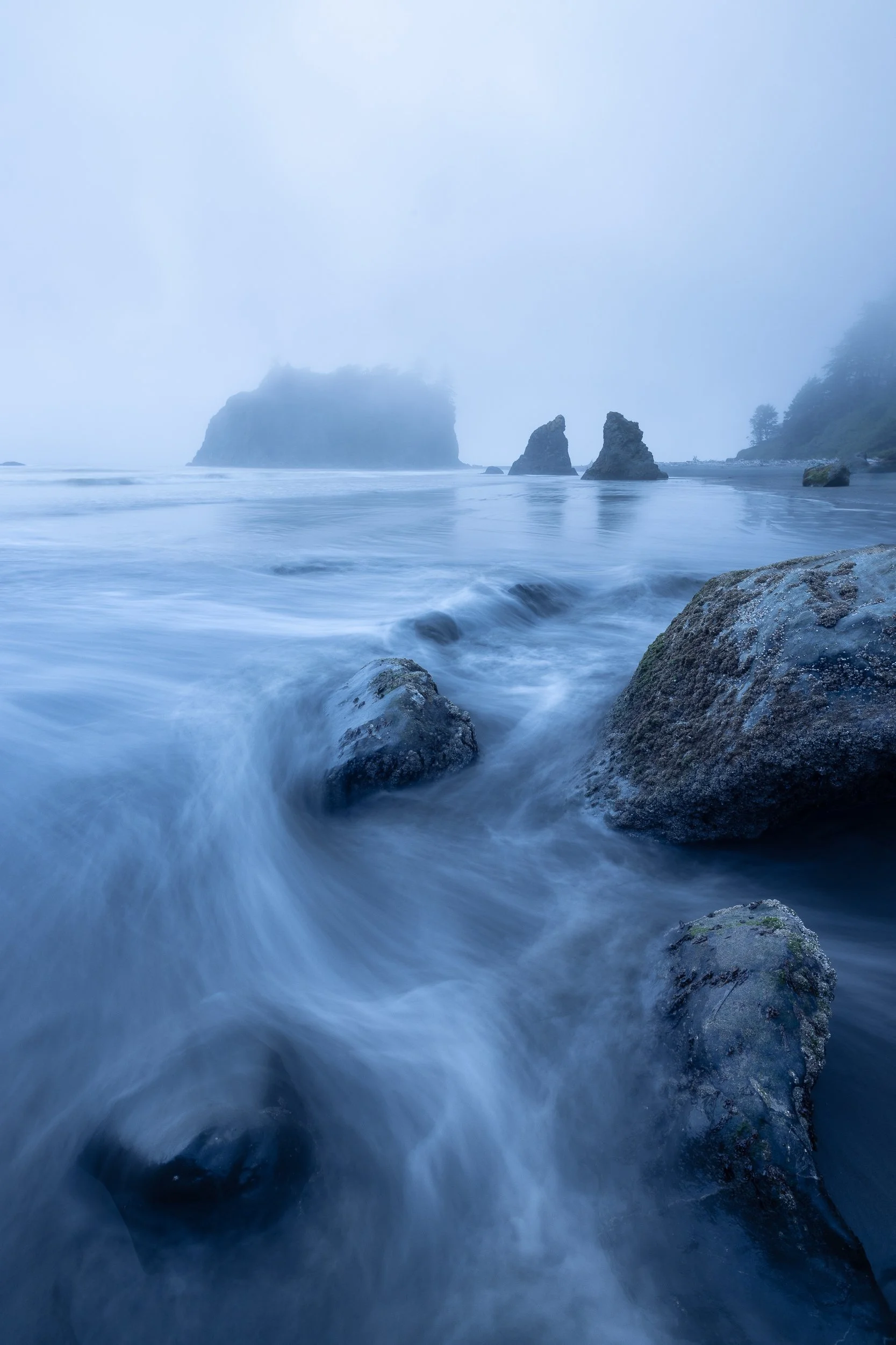 Olympic National Park, USA