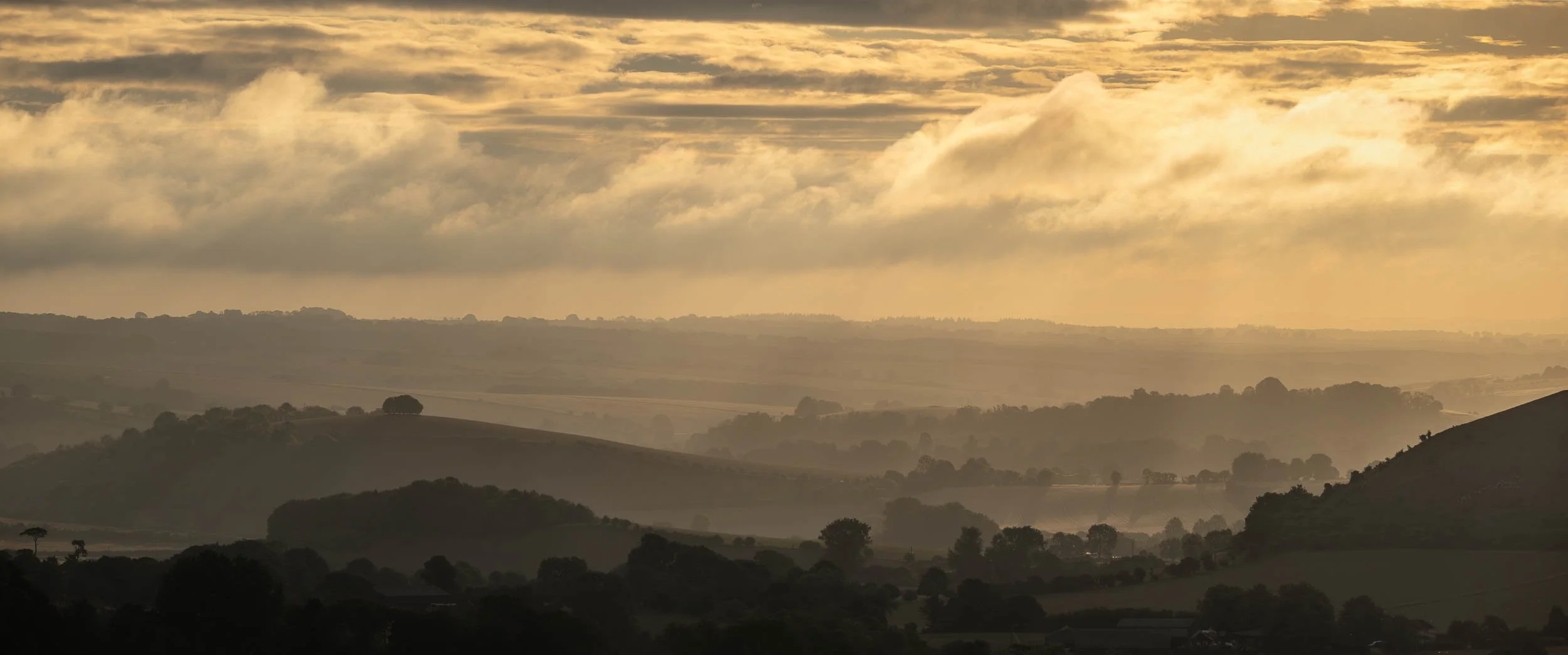 Cranbourn Chase, Wiltshire, at sunrise