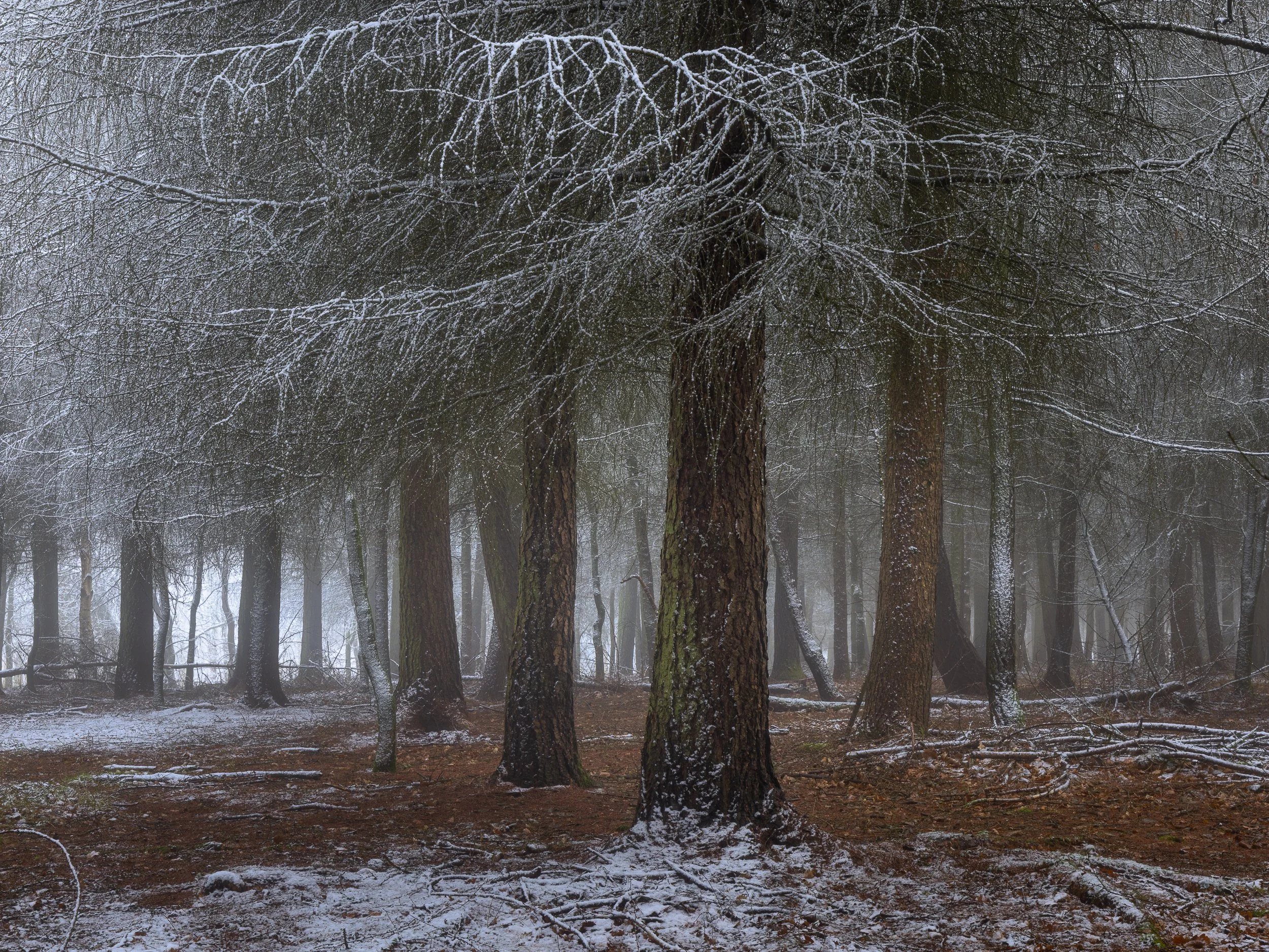 Christmas Common, Oxfordshire