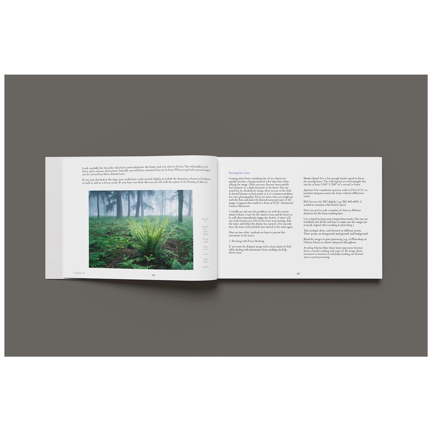 Book+inside+page+2+SQ.jpg