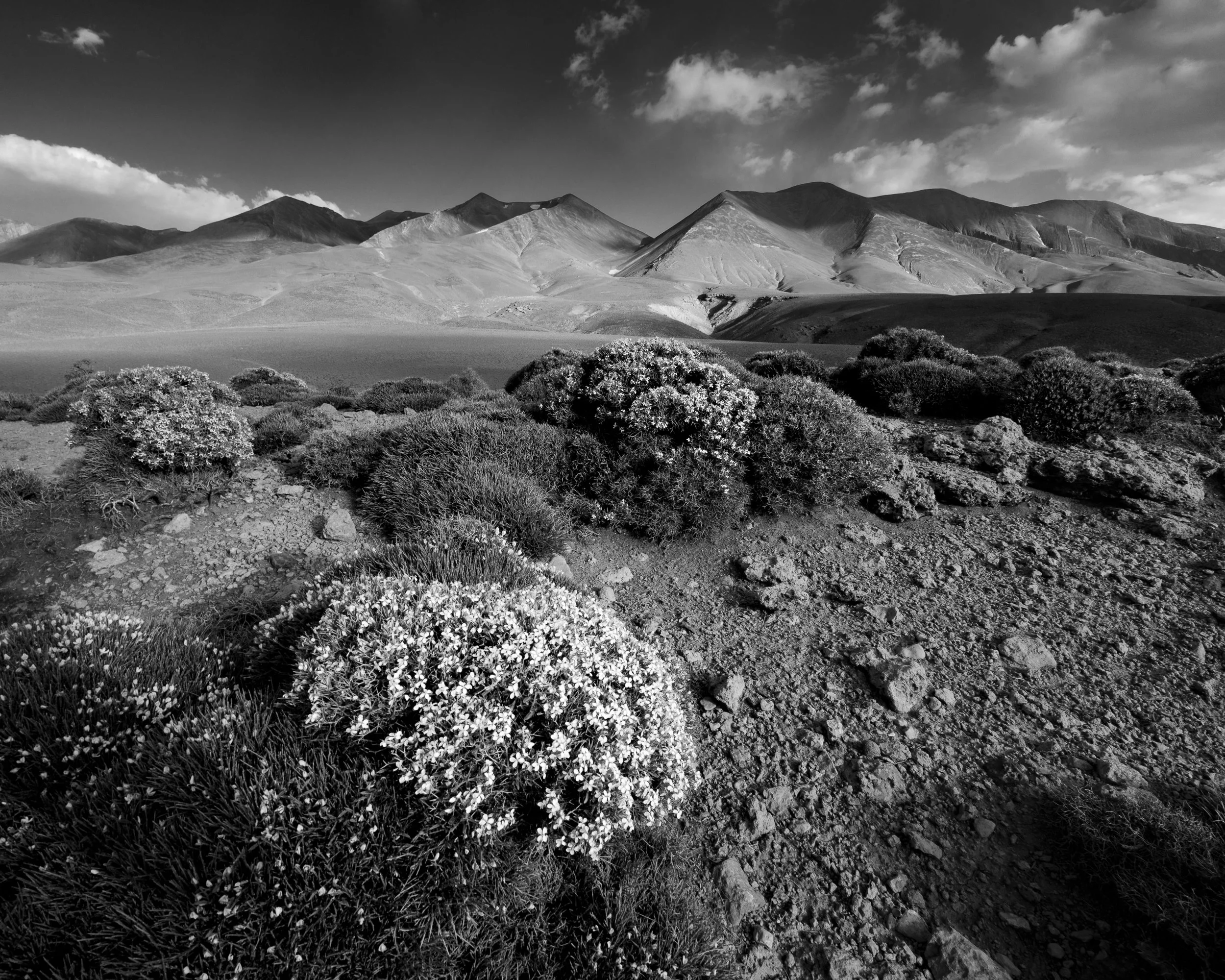 View in High Atlas of Mount M'Goun in monochrome
