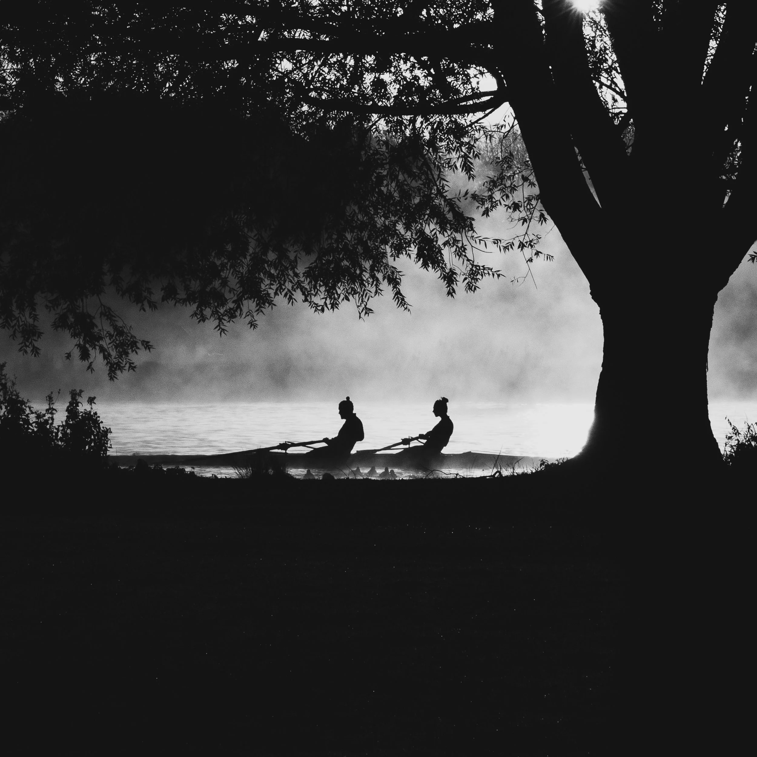 Black and white photography picture of rowers in the river in Henley on Thames as fine art wall art print