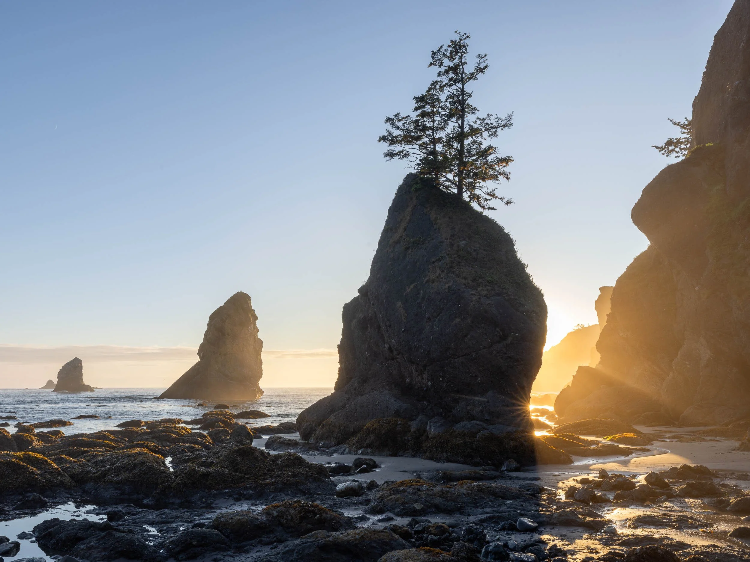 Shi Shi beach sea stacks at sunset. Olympic Park USA