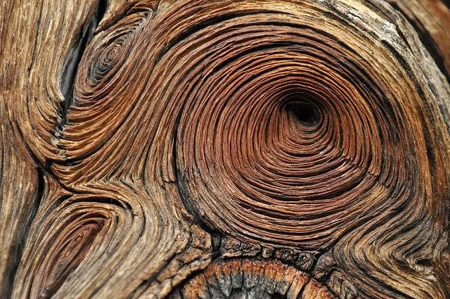 dc199f749390404ac5ea768a24102531--wood-patterns-textures-patterns.jpg