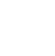 Mason Dixie