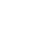 Z League