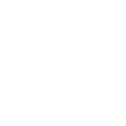 Spot &amp; Tango