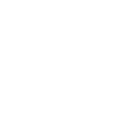 Voyage Foods