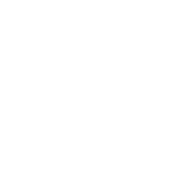 Songfinch