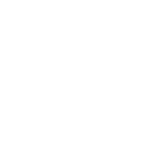 Blackseed Bagels