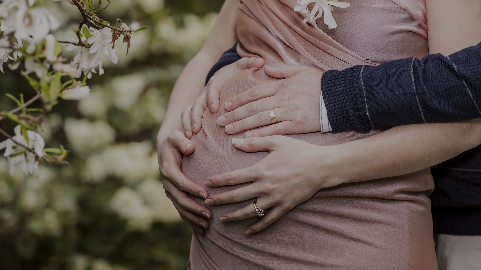 toronto-acupuncture-fertility.jpg