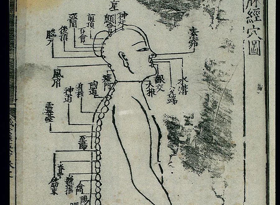 Are Chinese Medicine &amp; Acupuncture Right For Me?