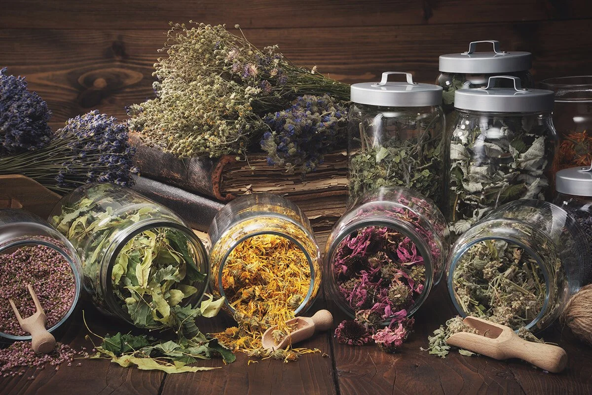 How Can Acupuncture and TCM Aid Fertility? 5 Evidence-Informed Approaches