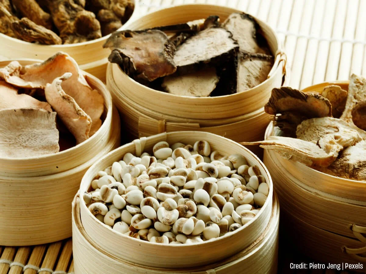 Understanding the TCM Perspective on Male Fertility