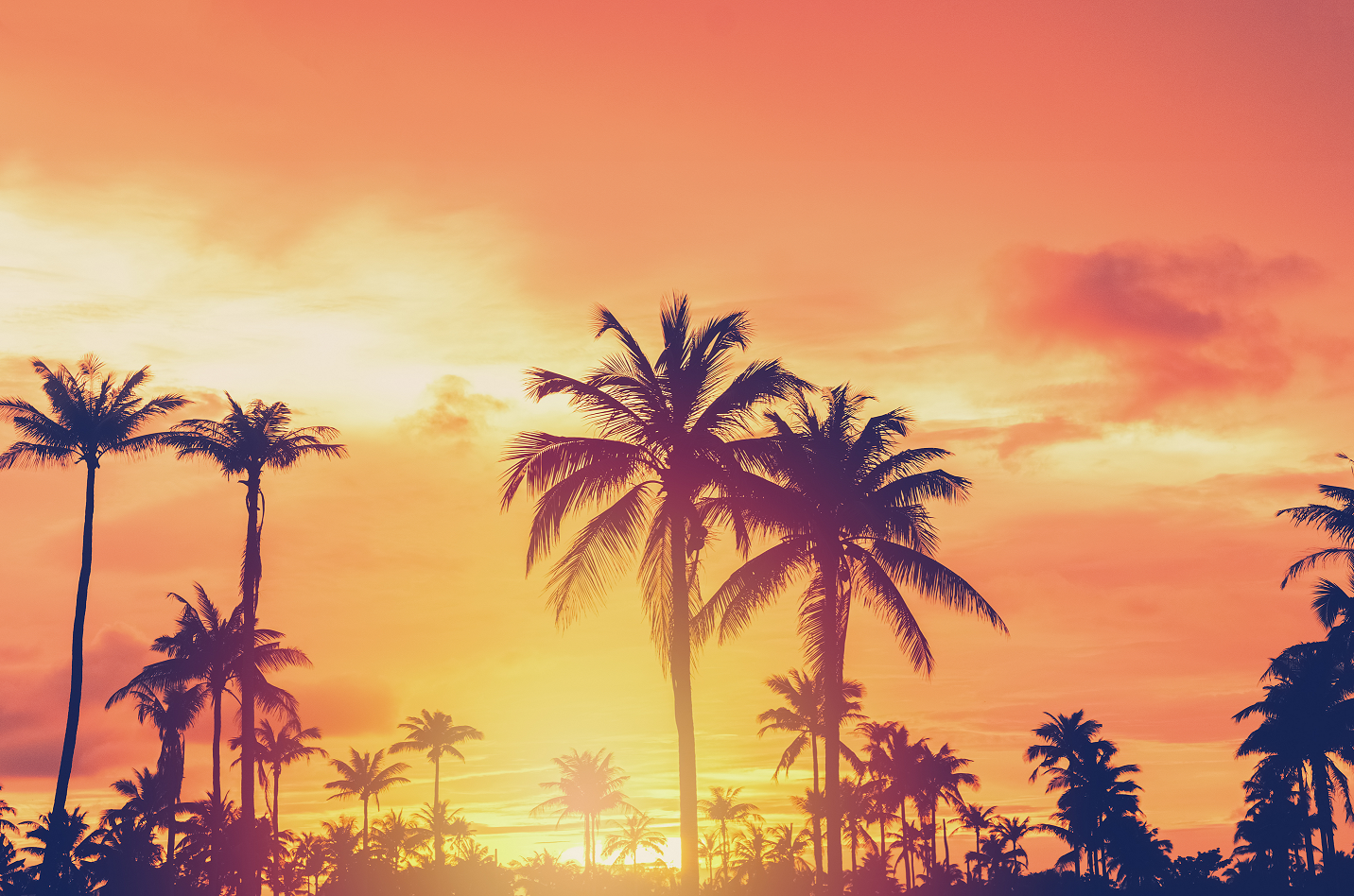 LEI California 2.png