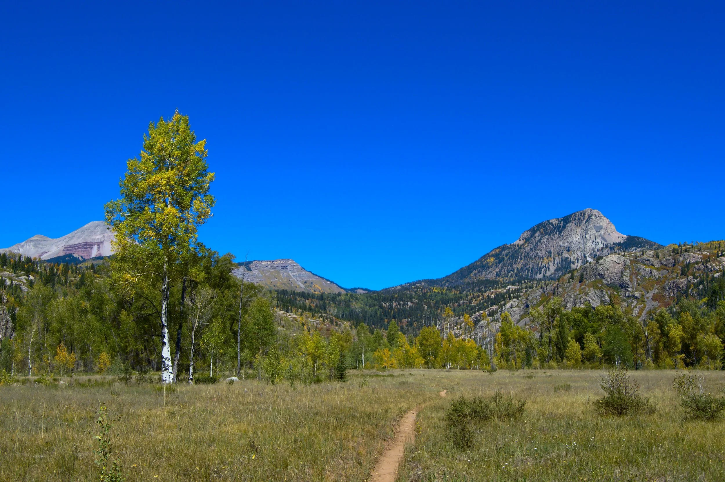 DSC_0105.jpg