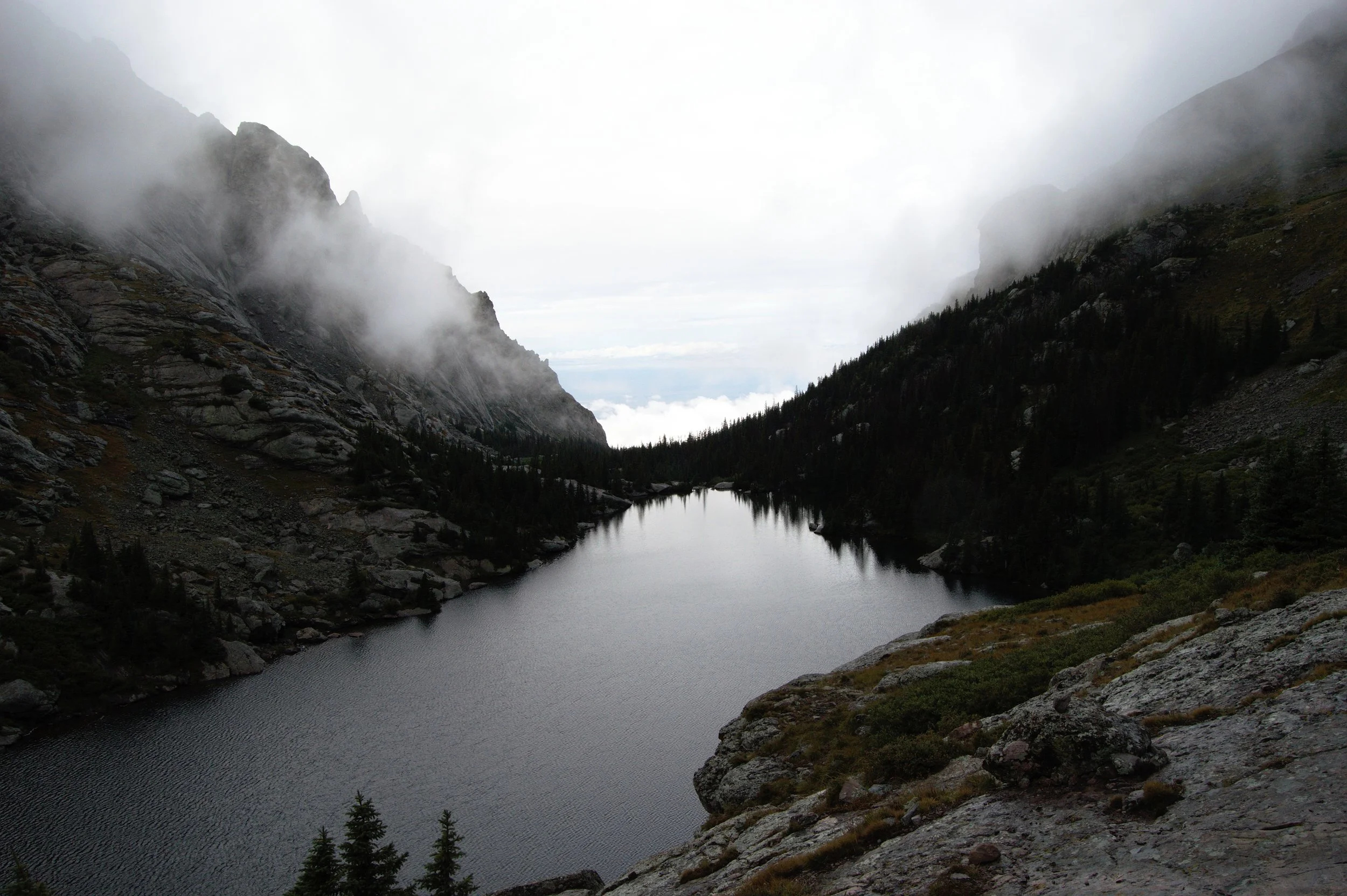 DSC_0009.jpg