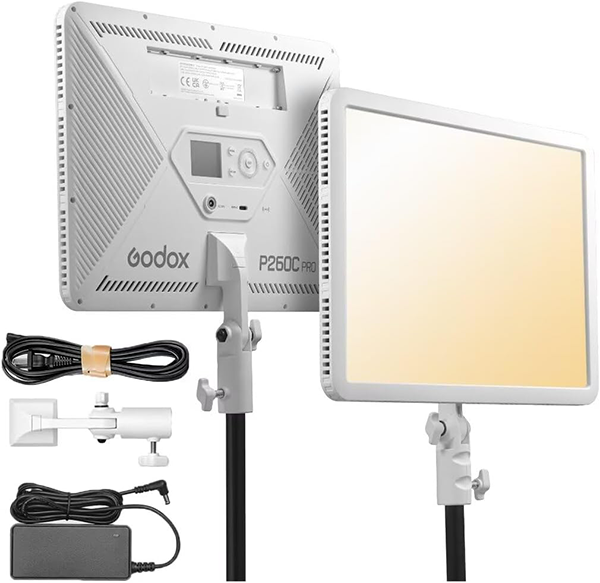 Overhead LED Panel (main light for accurate color)