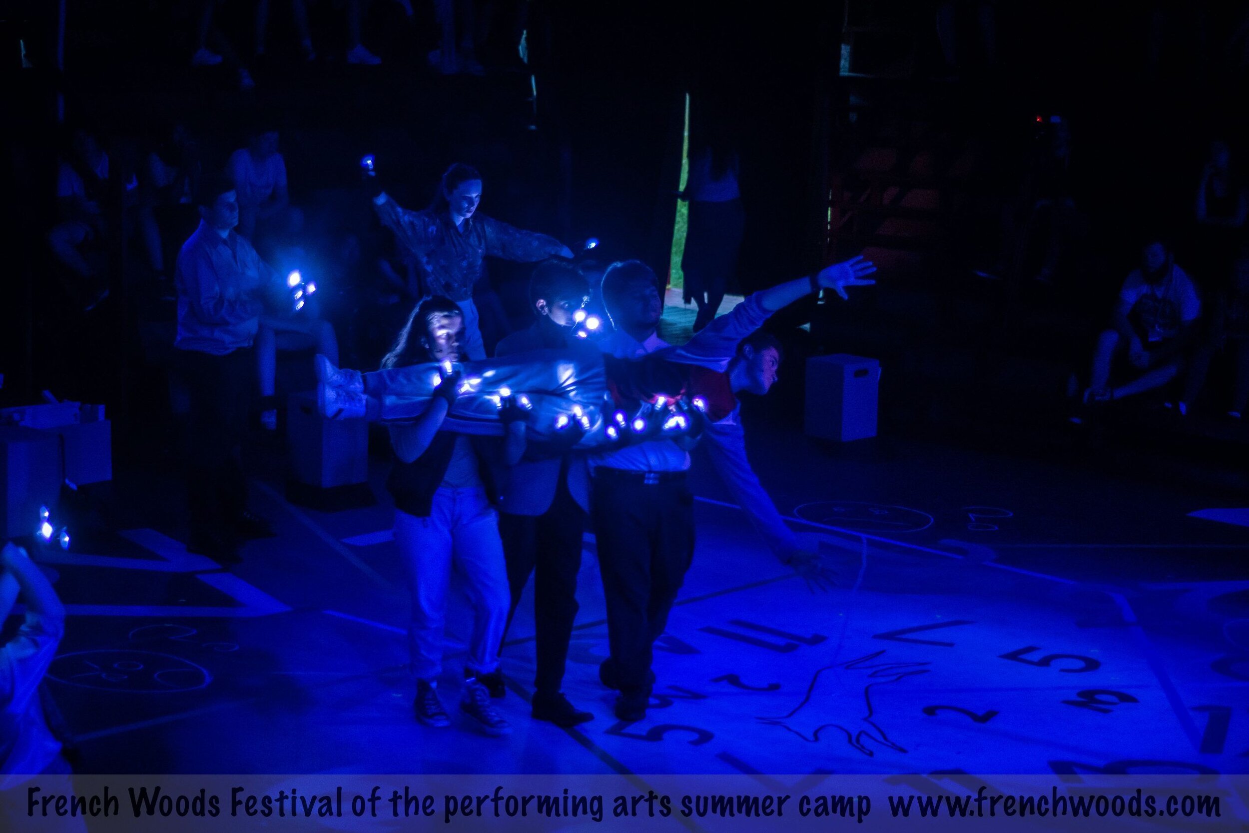 Curious Incident 1.jpg